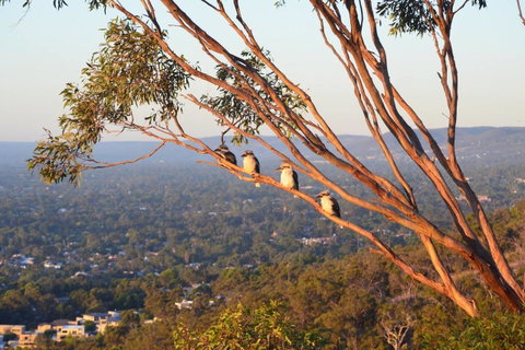 Kingsview Belair, Apartment Grand Views Of Adelaide - Whitsundays Accommodation 1