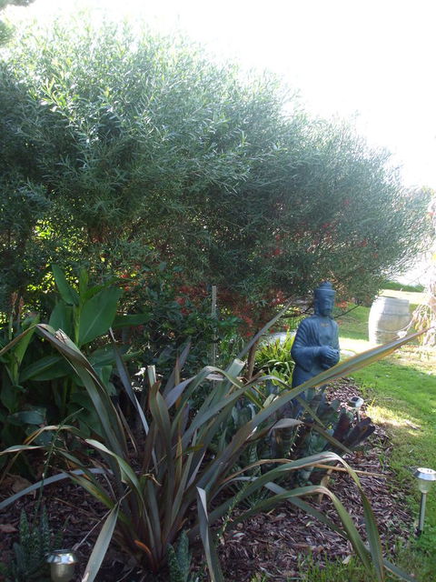 Casuarina Coastal Units - Whitsundays Accommodation 16