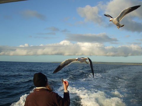 Casuarina Coastal Units - Whitsundays Accommodation 25