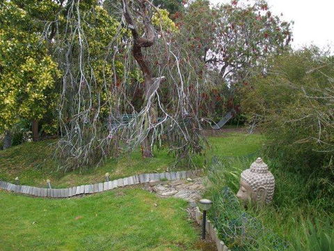 Casuarina Coastal Units - Whitsundays Accommodation 19