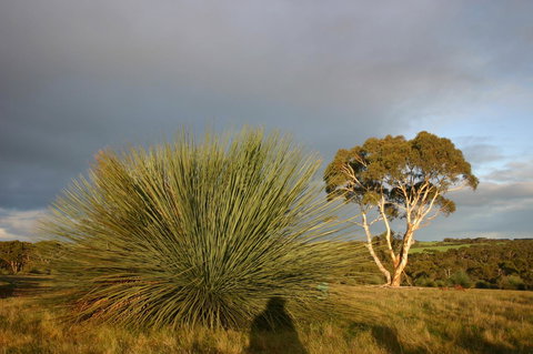 Ecopia Retreat - Whitsundays Accommodation 23