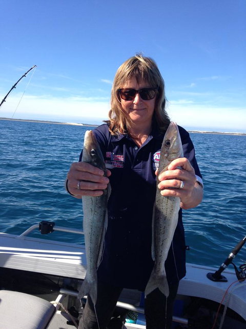 Longbeach Apartments - Whitsundays Accommodation 11