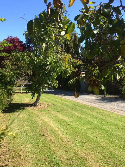 Vineyard Cottage BnB - Whitsundays Accommodation 17