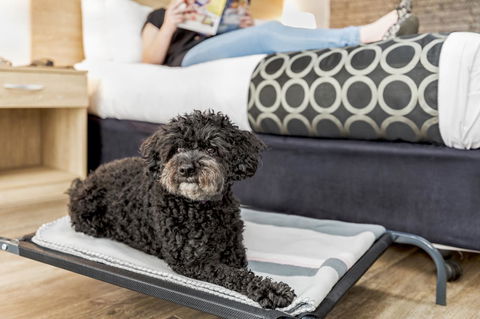 Adelaide Road Motor Lodge - Whitsundays Accommodation 5