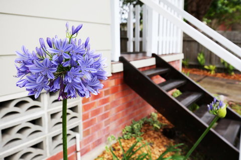 Hudson Bay @ Basin View-Pet Friendly-15 Mins To Hyams Beach - Whitsundays Accommodation 38