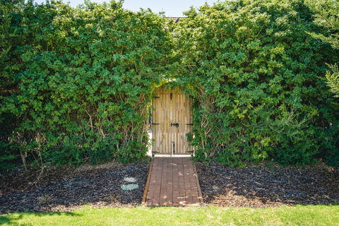 Mick O\'Sheas - Whitsundays Accommodation 32