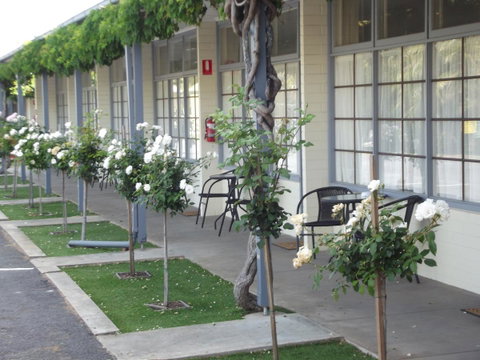 Guichen Bay Motel - Whitsundays Accommodation 38