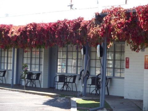 Guichen Bay Motel - Whitsundays Accommodation 23