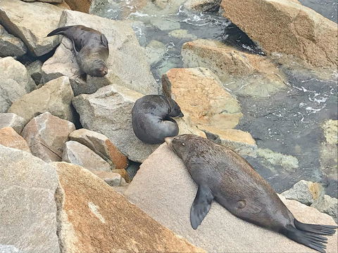 Penthouse On The Promenade - Whitsundays Accommodation 17