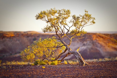 The Lookout Cave Underground Motel - Whitsundays Accommodation 22
