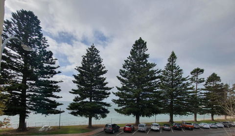 Pier Hotel Port Lincoln - Whitsundays Accommodation 12