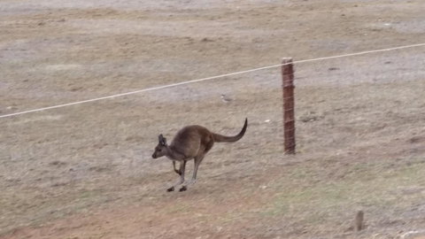 Rosie\'s - Whitsundays Accommodation 28