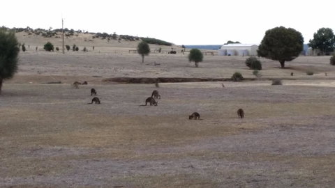 Rosie\'s - Whitsundays Accommodation 27