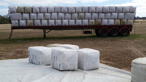 Rosie\'s - Whitsundays Accommodation 23