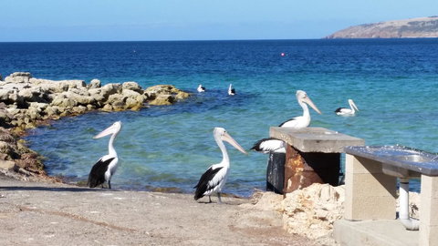 Rosie\'s - Whitsundays Accommodation 19