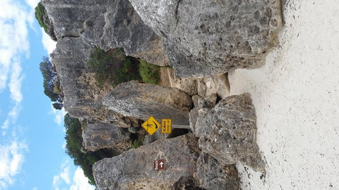 Rosie\'s - Whitsundays Accommodation 24