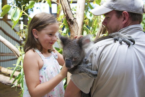 One Mile Retreat - Whitsundays Accommodation 16