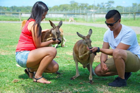 One Mile Retreat - Whitsundays Accommodation 25