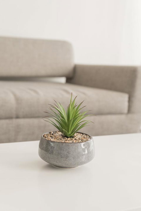 Ther-Rich Elegant 1BR Apartment In Walkerville - Whitsundays Accommodation 17