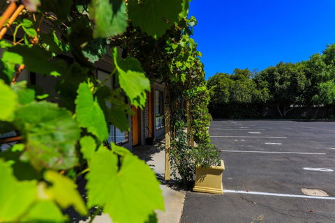 Country Roads Motor Inn Naracoorte - Whitsundays Accommodation 16