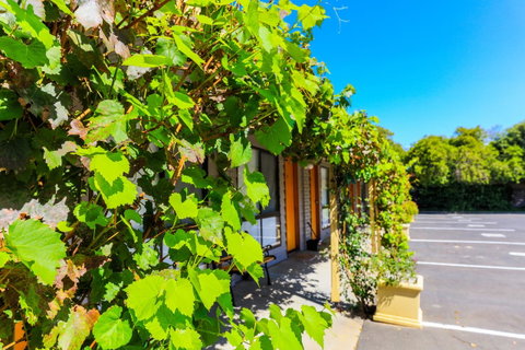 Country Roads Motor Inn Naracoorte - Whitsundays Accommodation 18