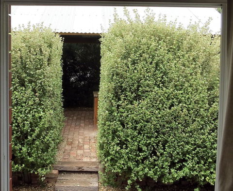 A2@Port Willy - Whitsundays Accommodation 13