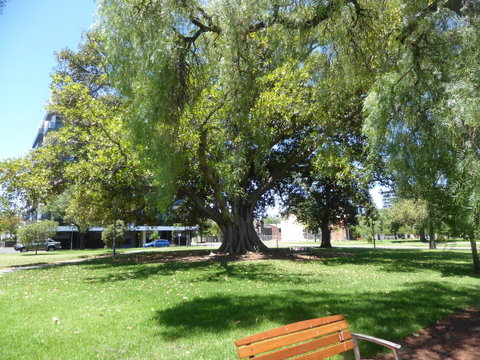 ADELAIDE CENTRAL APARTMENT - 3BR, 2BATH & CARPARK - Whitsundays Accommodation 30