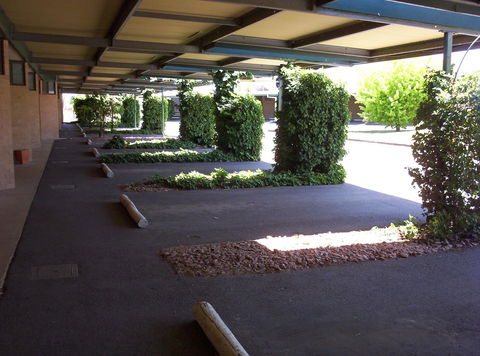 The Wine Vine Hotel - Whitsundays Accommodation 17