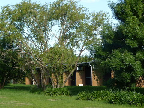 The Wine Vine Hotel - Whitsundays Accommodation 18