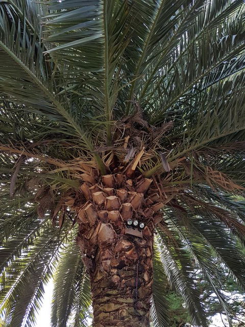 Possum Cottage - Whitsundays Accommodation 3