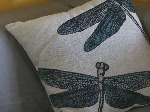 KI Dragonfly Guesthouse - Whitsundays Accommodation 43