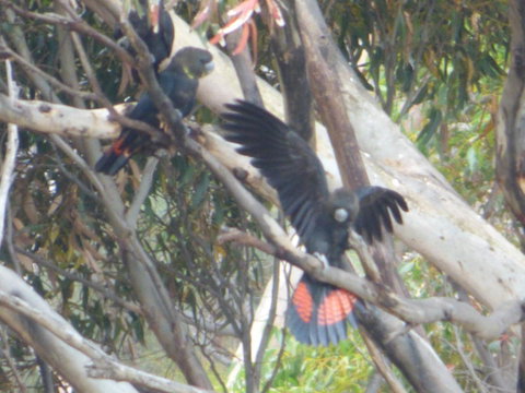 Saar River House - Whitsundays Accommodation 4