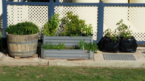 BIG4 Ceduna Tourist Park - Whitsundays Accommodation 30