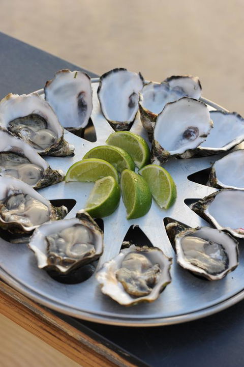 BIG4 Ceduna Tourist Park - Whitsundays Accommodation 41