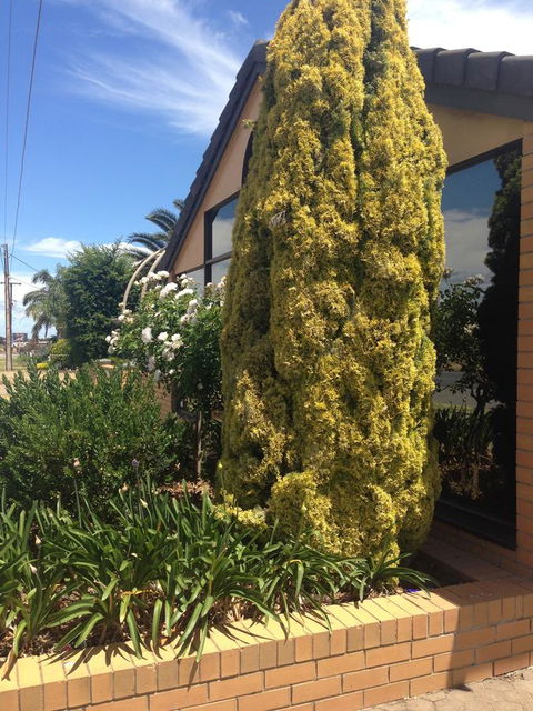 Aviators Lodge - Whitsundays Accommodation 9