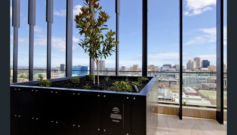 ONE Adelaide CBD - Whitsundays Accommodation 33