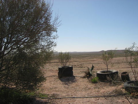 Venushill B+B - Whitsundays Accommodation 32