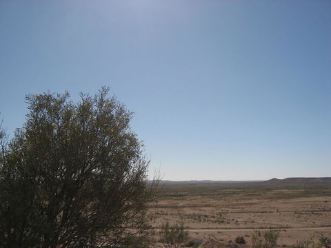 Venushill B+B - Whitsundays Accommodation 34