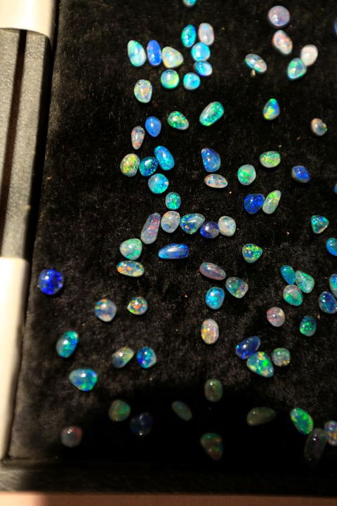 Venushill B+B - Whitsundays Accommodation 6