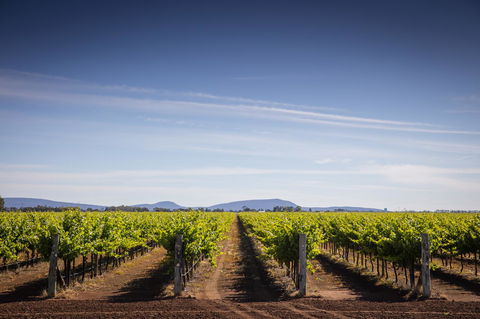 Quest Griffith - Whitsundays Accommodation 14