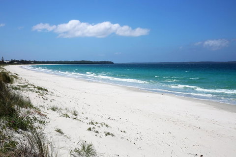 Wildwood I Pet Friendly I 5 Mins To Beach - Whitsundays Accommodation 14