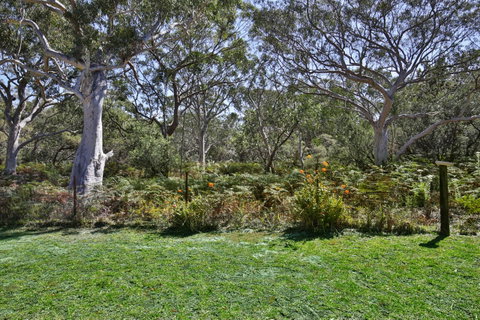 Wildwood I Pet Friendly I 5 Mins To Beach - Whitsundays Accommodation 17