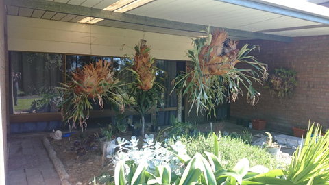 Hilltop Escape - Whitsundays Accommodation 11
