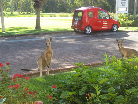 Aston Motel Yamba - Whitsundays Accommodation 6