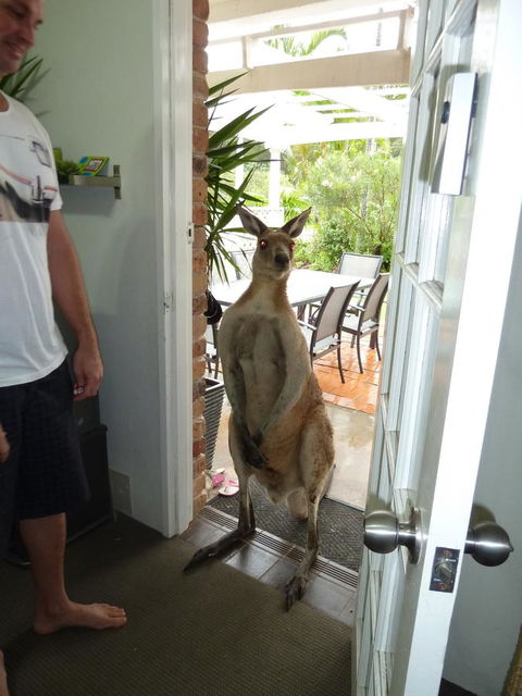 Aston Motel Yamba - Whitsundays Accommodation 10