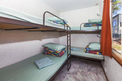 Echo Holiday Parks - Naracoorte - Whitsundays Accommodation 35