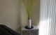 Mandurah Family Resort - thumb 39