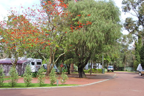 Margaret River Tourist Park - Whitsundays Accommodation 43