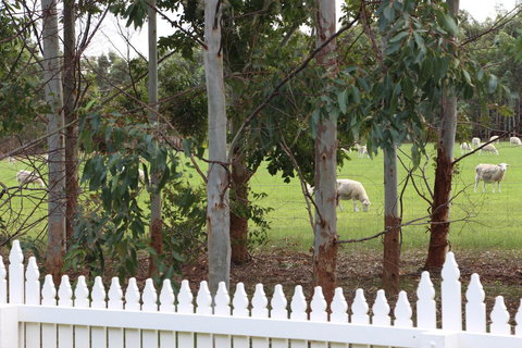 Sapphire Chalets, Augusta - Whitsundays Accommodation 9