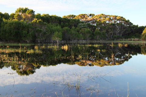 Sapphire Chalets, Augusta - Whitsundays Accommodation 14